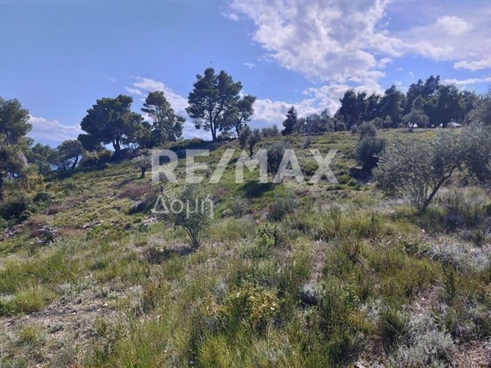 Image No.12-Terre à vendre à Alonnisos