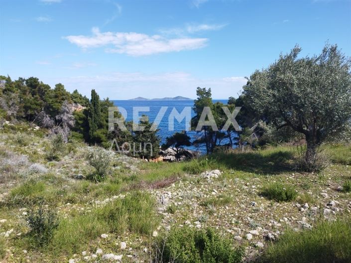 Image No.4-Terre à vendre à Alonnisos