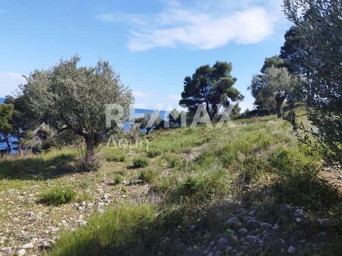 Image No.5-Terre à vendre à Alonnisos