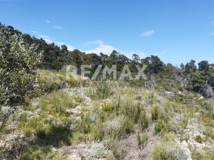 Image No.7-Terre à vendre à Alonnisos