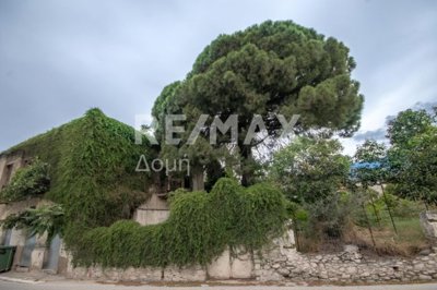 1 - Artemida, House