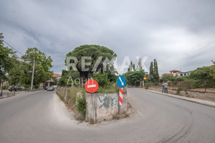 Image No.26-Maison à vendre à Artemida