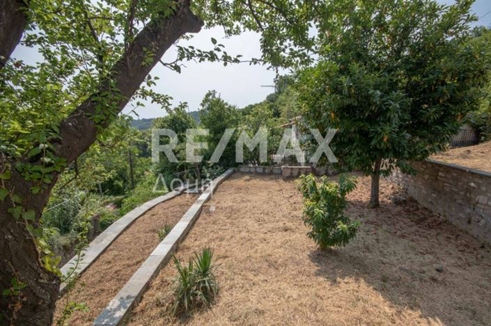 Image No.8-Propriété de 1 chambre à vendre à Center