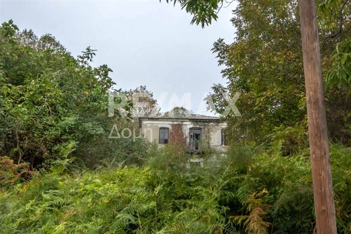 Image No.11-Propriété à vendre à Magnésie