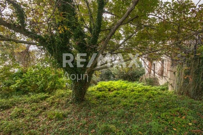 Image No.15-Propriété à vendre à Magnésie