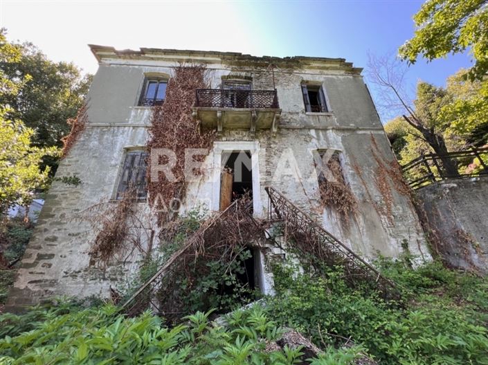 Image No.3-Propriété à vendre à Magnésie