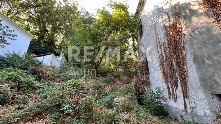 Image No.5-Propriété à vendre à Magnésie