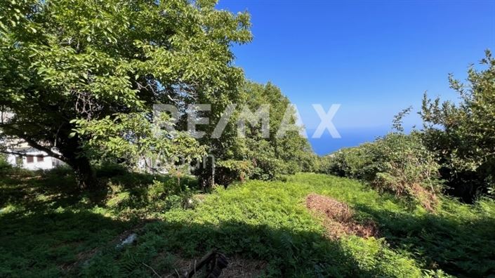 Image No.6-Propriété à vendre à Magnésie