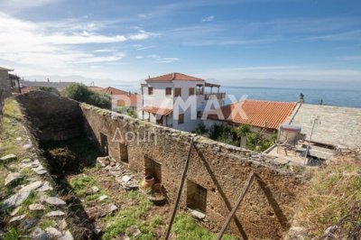 1 - Magnesia, House
