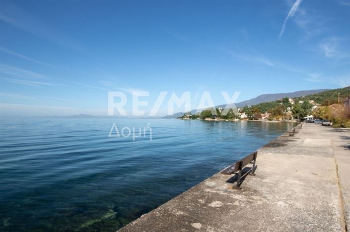 Image No.4-Maison à vendre à Magnésie