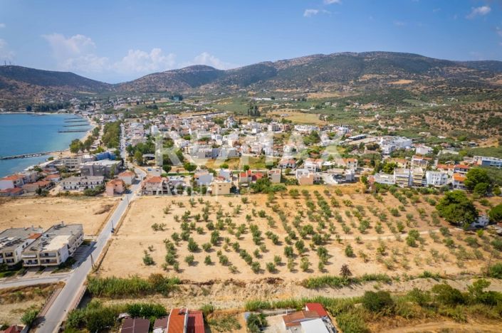 Image No.12-Propriété à vendre à Magnésie