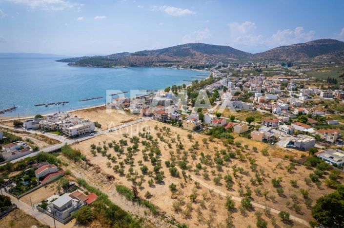 Image No.13-Propriété à vendre à Magnésie