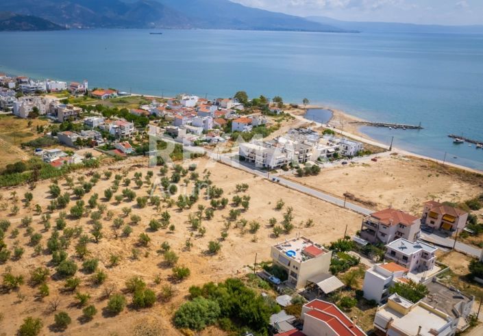 Image No.16-Propriété à vendre à Magnésie