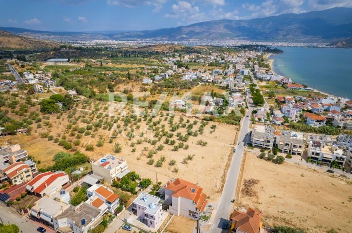 Image No.18-Propriété à vendre à Magnésie