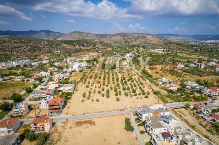 Image No.9-Propriété à vendre à Magnésie