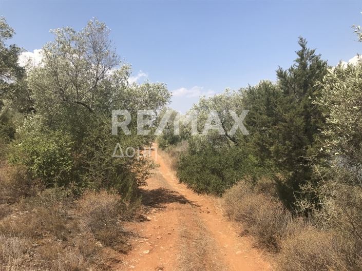 Image No.9-Property for sale