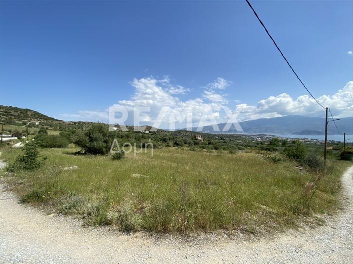 Image No.1-Property for sale