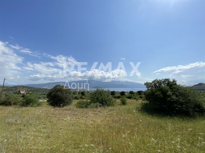 Image No.10-Propriété à vendre à Magnésie