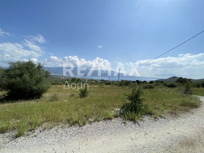 Image No.2-Propriété à vendre à Magnésie