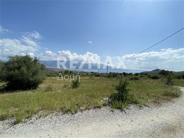7652-91799551