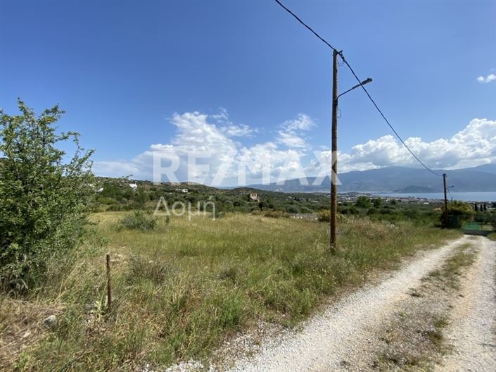 Image No.3-Propriété à vendre à Magnésie