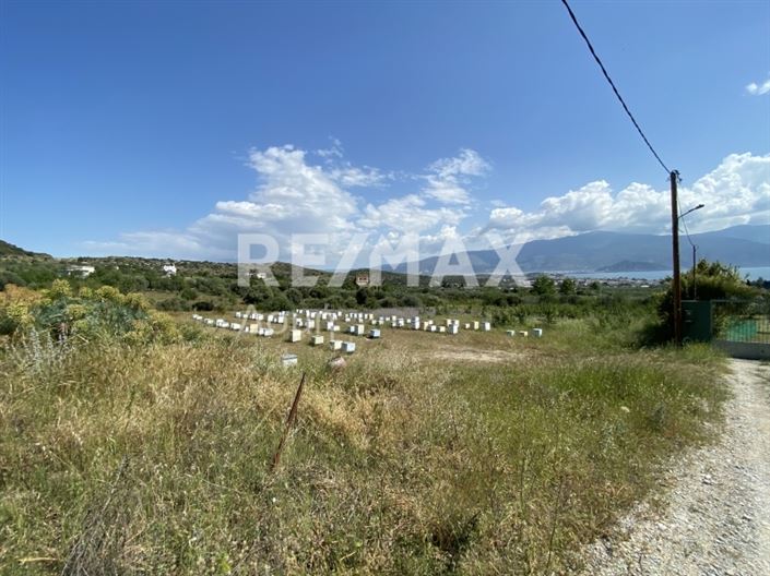 Image No.5-Propriété à vendre à Magnésie