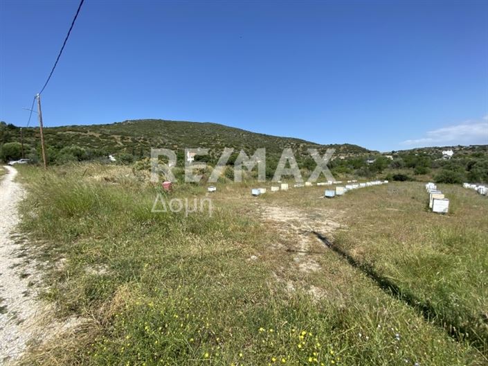 Image No.6-Propriété à vendre à Magnésie