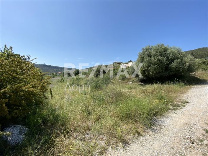 Image No.7-Propriété à vendre à Magnésie