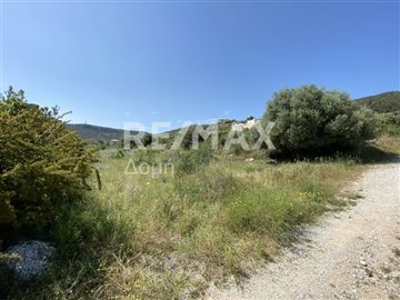7652-91799786