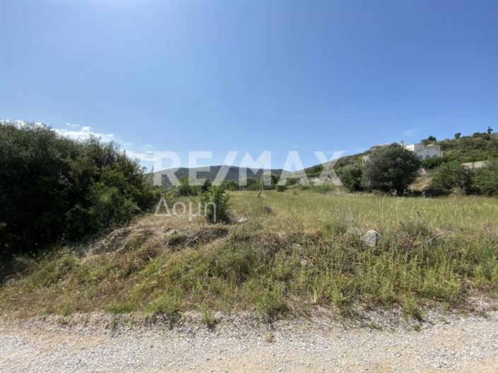 Image No.8-Propriété à vendre à Magnésie