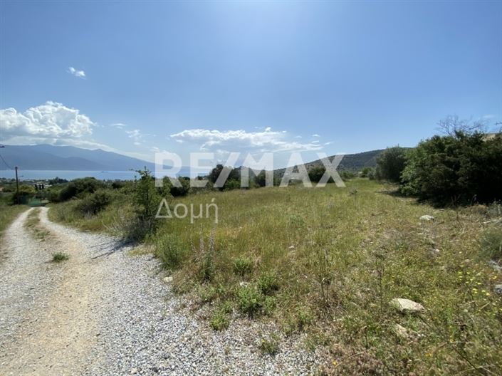 Image No.9-Propriété à vendre à Magnésie