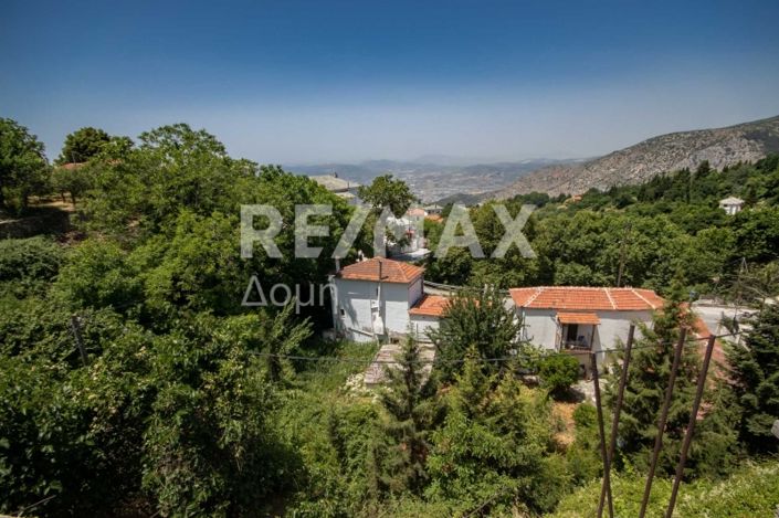 Image No.33-Propriété à vendre à Center