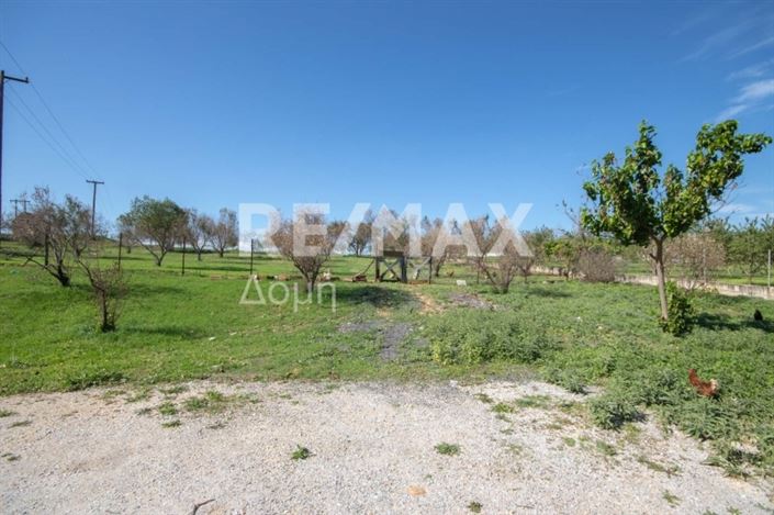 Image No.11-Propriété à vendre à Magnésie