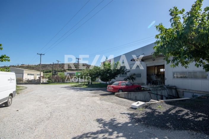 Image No.49-Propriété à vendre à Magnésie