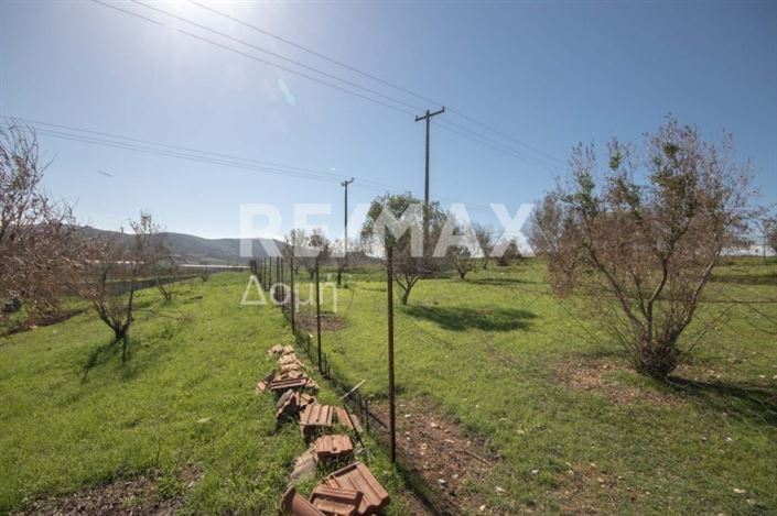 Image No.9-Propriété à vendre à Magnésie