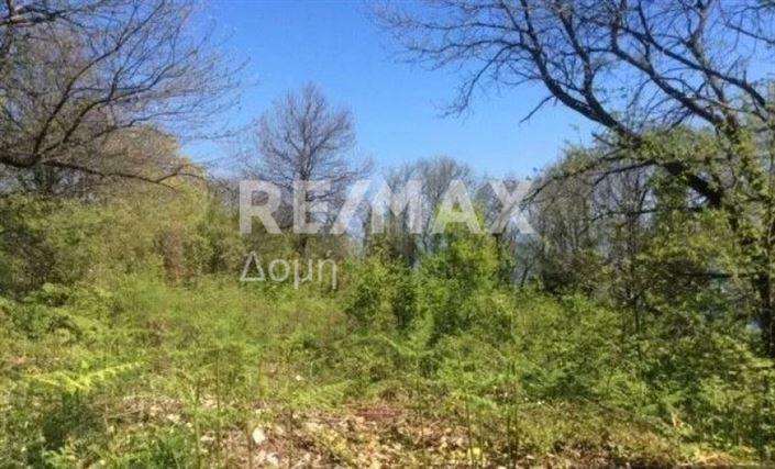 Image No.12-Propriété à vendre à Center