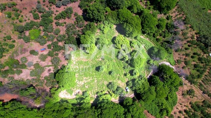 Image No.13-Propriété à vendre à Center