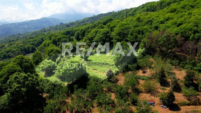 Image No.14-Propriété à vendre à Center