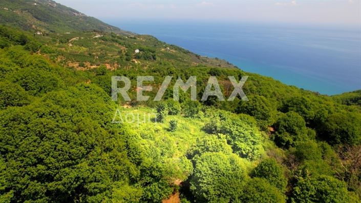 Image No.16-Propriété à vendre à Center