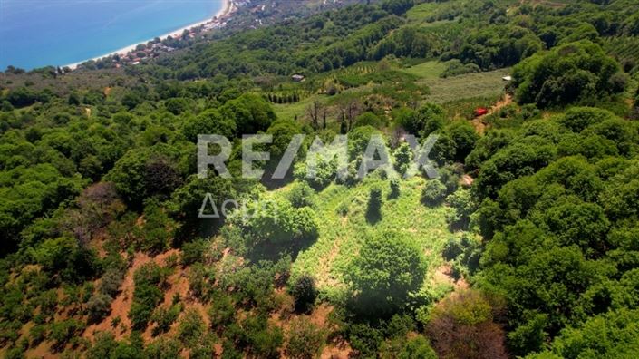 Image No.17-Propriété à vendre à Center