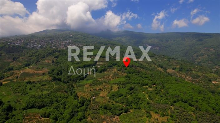 Image No.4-Propriété à vendre à Center