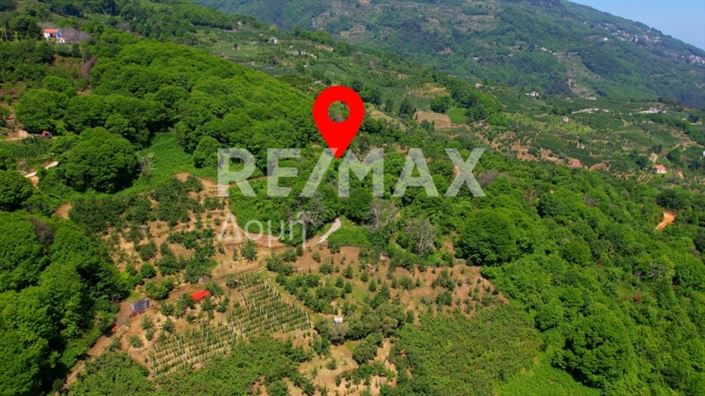 Image No.6-Propriété à vendre à Center