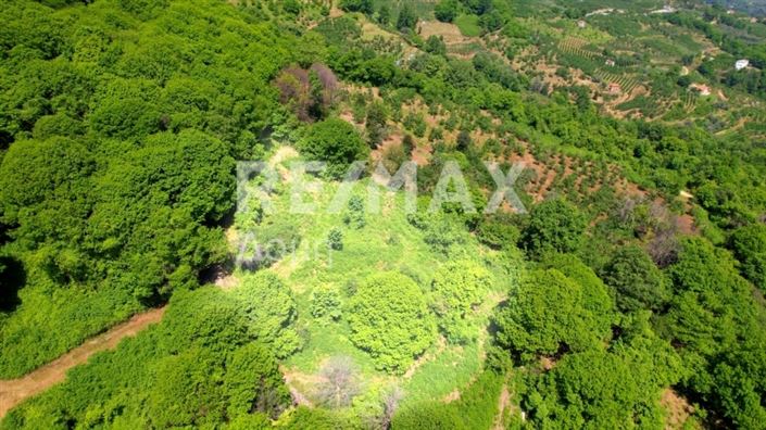 Image No.8-Propriété à vendre à Center