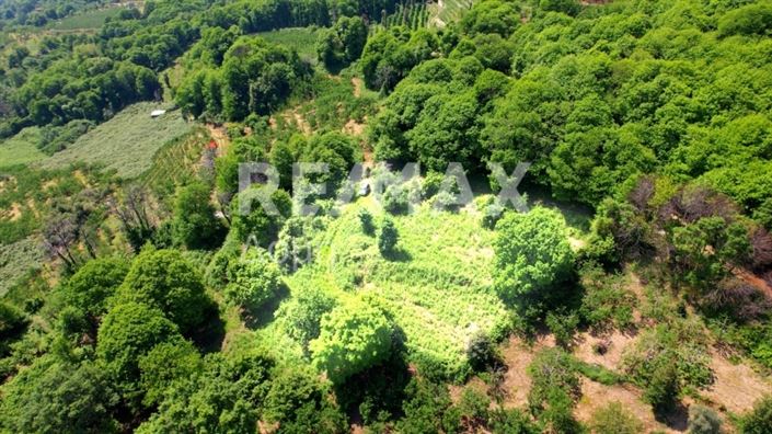 Image No.9-Propriété à vendre à Center