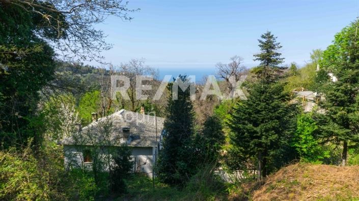 Image No.6-Propriété de 1 chambre à vendre à Magnésie