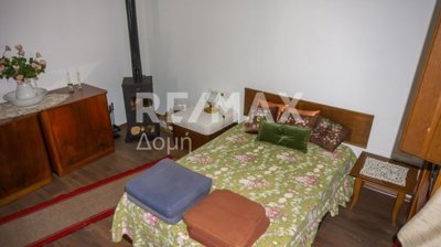 25316-93554341