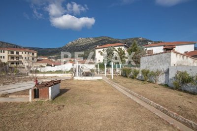 15504-98842352