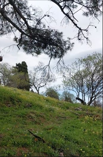 Image No.11-Terre à vendre à Glossa