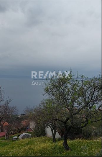 Image No.16-Terre à vendre à Glossa