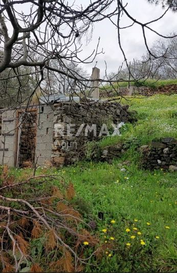 Image No.17-Terre à vendre à Glossa